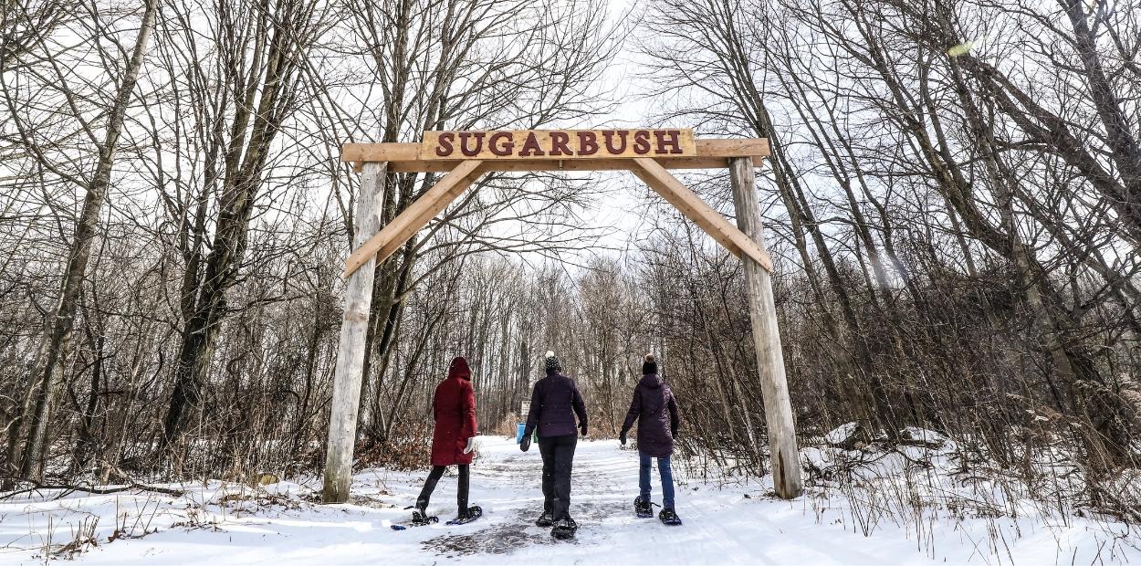 Snowshoeing on the Sugar Bush Trail at Island Lake Conservation Area